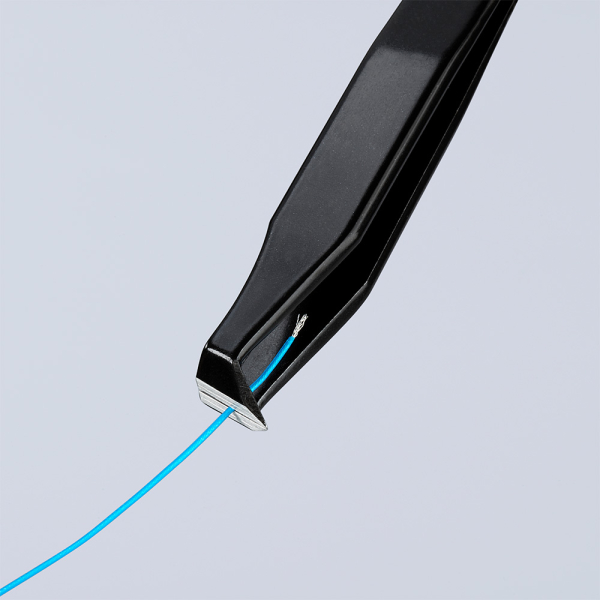 921101ESD_2.jpg